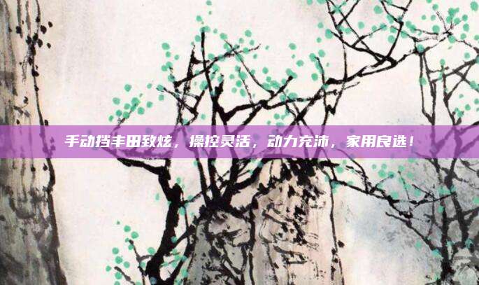 手动挡丰田致炫，操控灵活，动力充沛，家用良选！