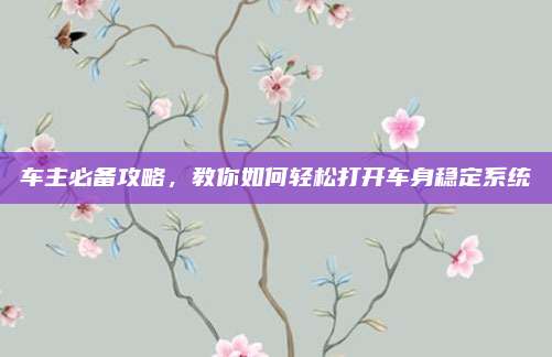 车主必备攻略，教你如何轻松打开车身稳定系统