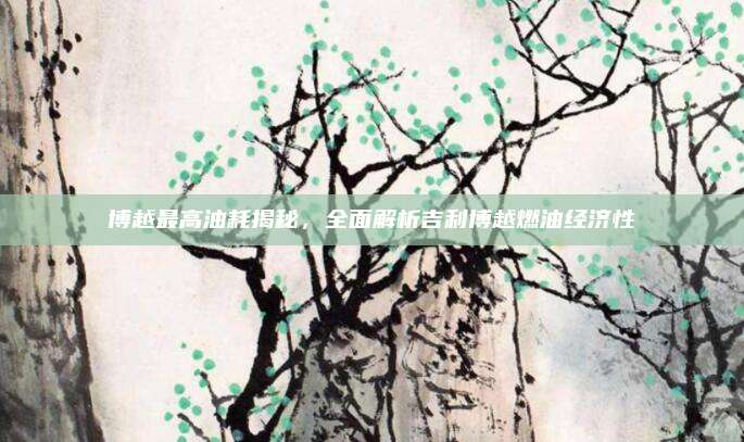 博越最高油耗揭秘，全面解析吉利博越燃油经济性