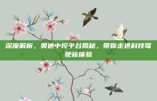 深度解析，奥迪中控平台揭秘，带你走进科技驾驶新体验