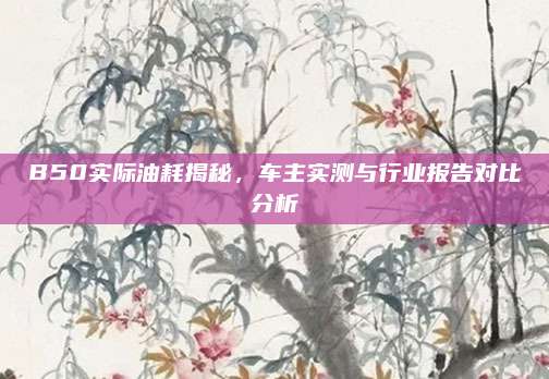 B50实际油耗揭秘，车主实测与行业报告对比分析