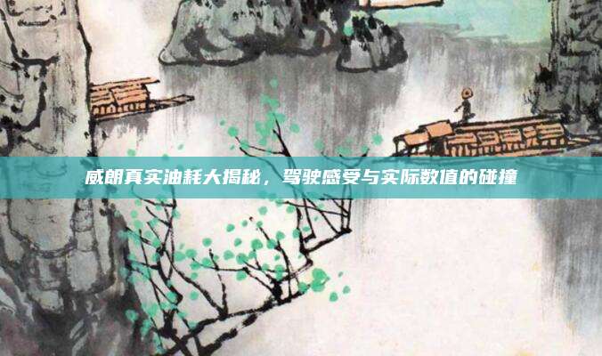 威朗真实油耗大揭秘，驾驶感受与实际数值的碰撞