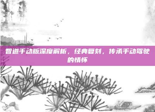 智道手动版深度解析，经典复刻，传承手动驾驶的情怀