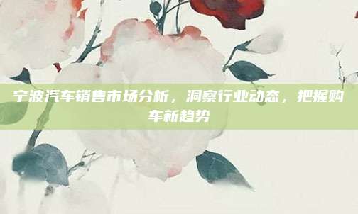 宁波汽车销售市场分析,洞察行业动态,把握购车新趋势