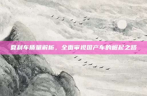 夏利车质量解析，全面审视国产车的崛起之路