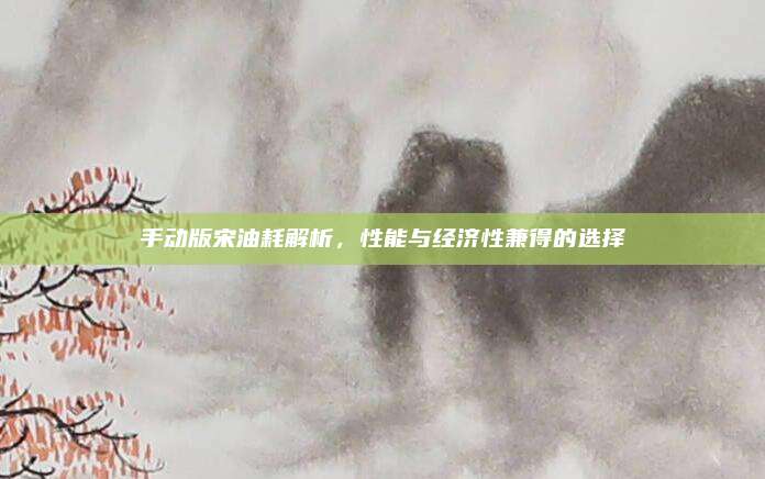 手动版宋油耗解析，性能与经济性兼得的选择