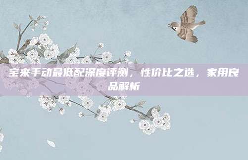 宝来手动最低配深度评测，性价比之选，家用良品解析