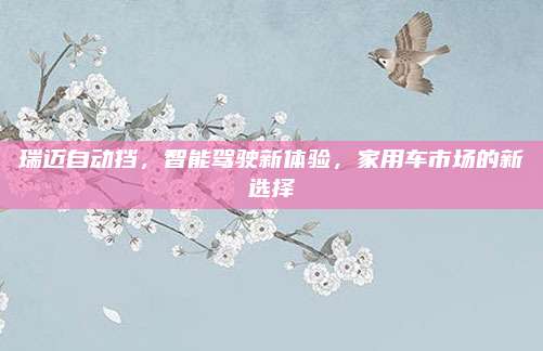 瑞迈自动挡，智能驾驶新体验，家用车市场的新选择