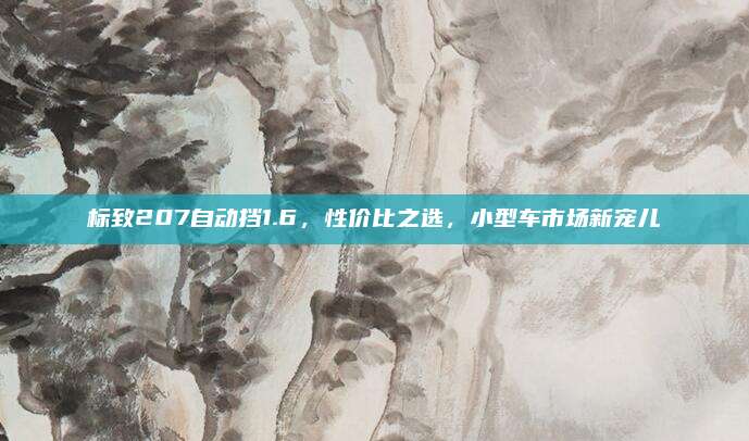标致207自动挡1.6，性价比之选，小型车市场新宠儿