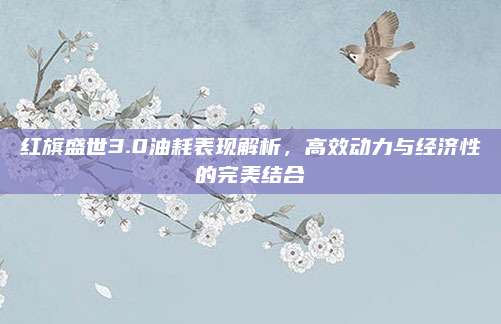 红旗盛世3.0油耗表现解析，高效动力与经济性的完美结合