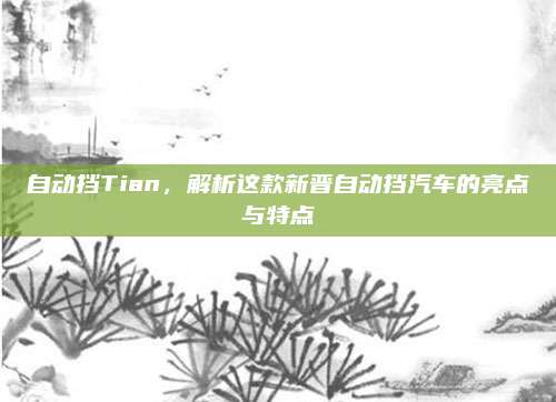 自动挡Tian，解析这款新晋自动挡汽车的亮点与特点