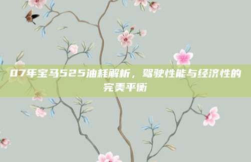 07年宝马525油耗解析，驾驶性能与经济性的完美平衡
