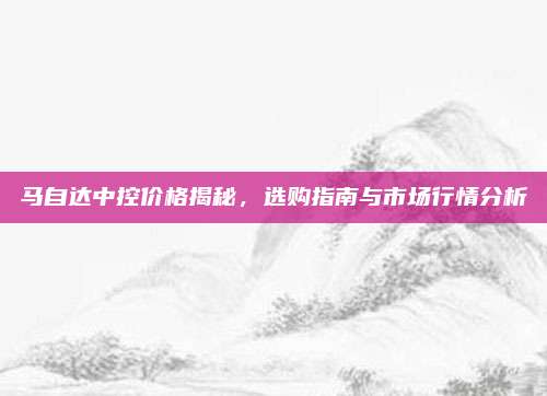 马自达中控价格揭秘，选购指南与市场行情分析