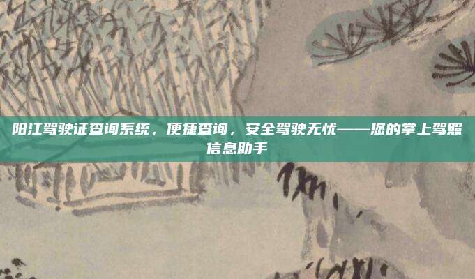阳江驾驶证查询系统，便捷查询，安全驾驶无忧——您的掌上驾照信息助手