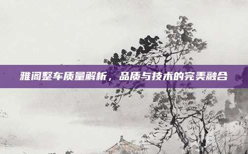 雅阁整车质量解析，品质与技术的完美融合