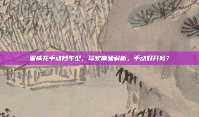雪铁龙手动挡车型，驾驶体验解析，手动好开吗？