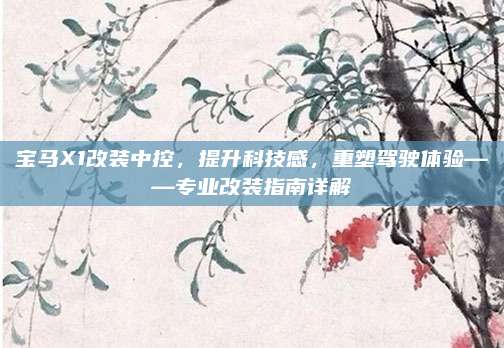 宝马X1改装中控，提升科技感，重塑驾驶体验——专业改装指南详解