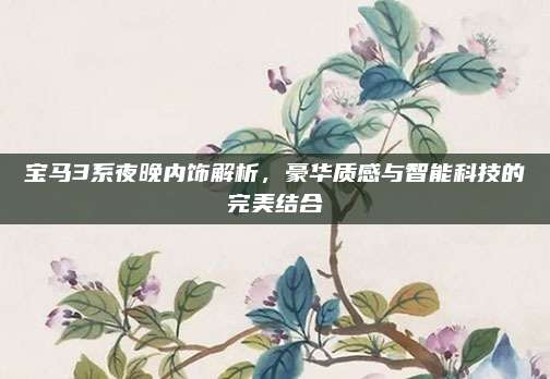 宝马3系夜晚内饰解析,豪华质感与智能科技的完美结合