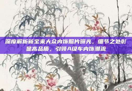 深度解析新宝来大众内饰照片曝光,细节之处彰显高品质,引领A级车内饰潮流