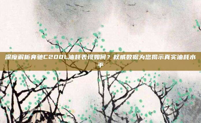 深度解析奔驰C200L油耗表现如何？权威数据为您揭示真实油耗水平