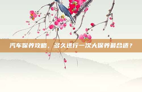 汽车保养攻略，多久进行一次大保养最合适？