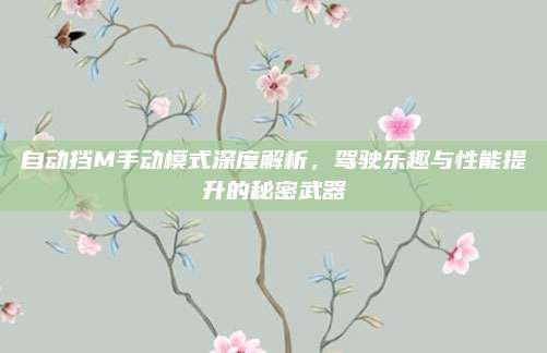 自动挡M手动模式深度解析，驾驶乐趣与性能提升的秘密武器