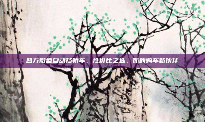 四万微型自动挡轿车，性价比之选，你的购车新伙伴