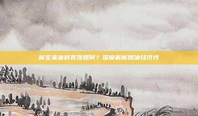 新宝来油耗表现如何？深度解析燃油经济性