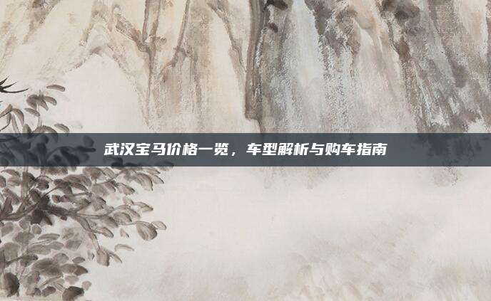 武汉宝马价格一览，车型解析与购车指南