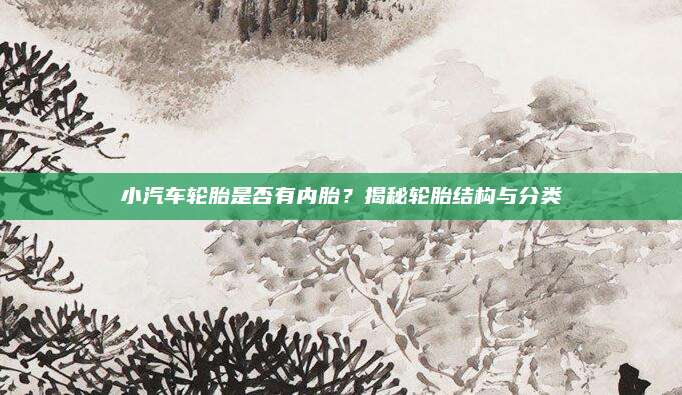 小汽车轮胎是否有内胎?揭秘轮胎结构与分类