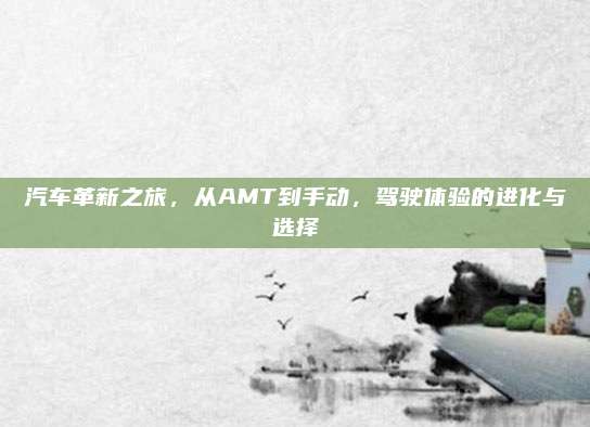 汽车革新之旅，从AMT到手动，驾驶体验的进化与选择