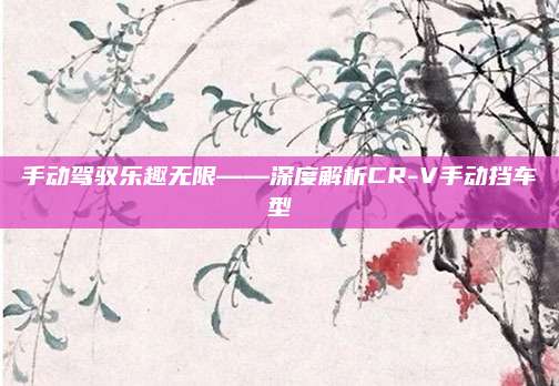 手动驾驭乐趣无限——深度解析CR-V手动挡车型