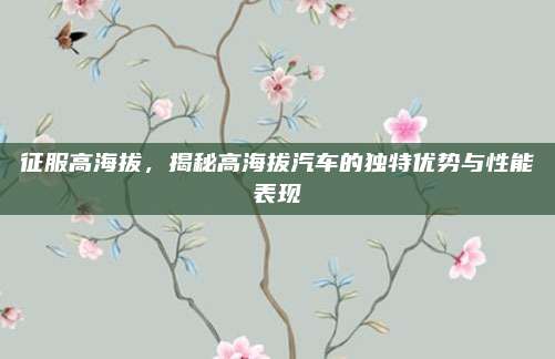 征服高海拔，揭秘高海拔汽车的独特优势与性能表现