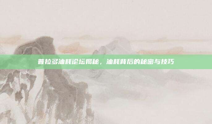 普拉多油耗论坛揭秘，油耗背后的秘密与技巧
