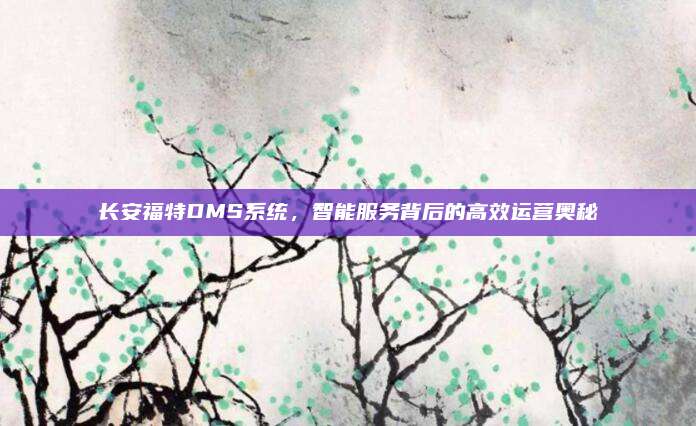 长安福特DMS系统，智能服务背后的高效运营奥秘