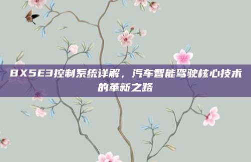 BX5E3控制系统详解，汽车智能驾驶核心技术的革新之路