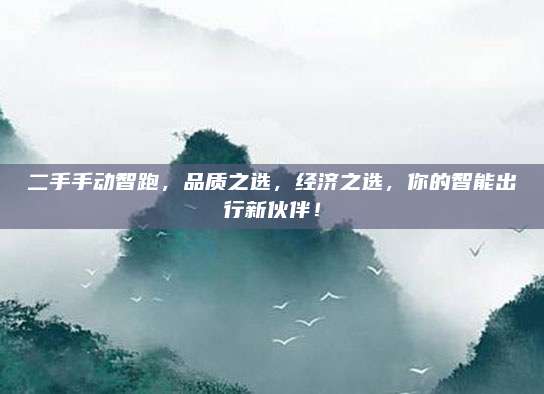 二手手动智跑，品质之选，经济之选，你的智能出行新伙伴！