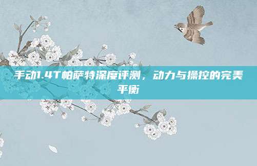 手动1.4T帕萨特深度评测，动力与操控的完美平衡