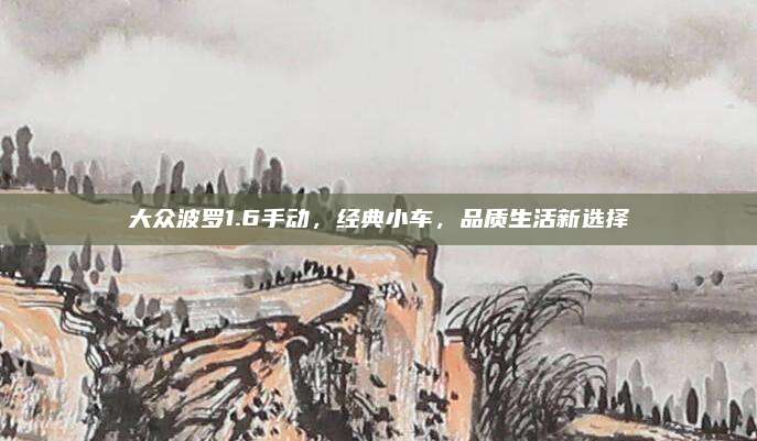 大众波罗1.6手动，经典小车，品质生活新选择