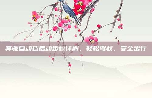 奔驰自动挡启动步骤详解，轻松驾驭，安全出行