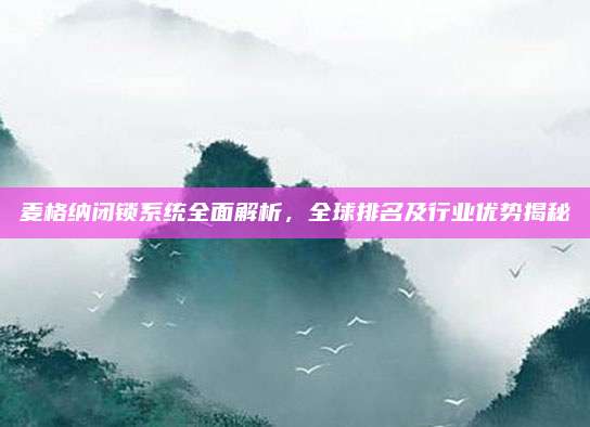 麦格纳闭锁系统全面解析，全球排名及行业优势揭秘