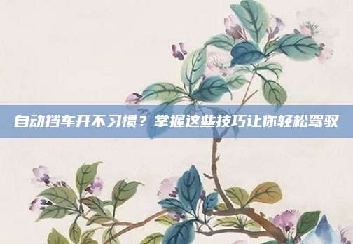 自动挡车开不习惯？掌握这些技巧让你轻松驾驭