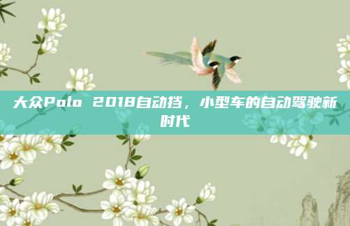 大众Polo 2018自动挡，小型车的自动驾驶新时代