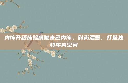 内饰升级体验威驰米色内饰，时尚温馨，打造独特车内空间