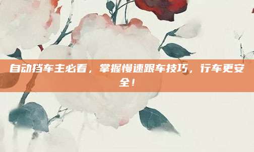 自动挡车主必看，掌握慢速跟车技巧，行车更安全！