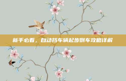 新手必看，自动挡车辆起步倒车攻略详解