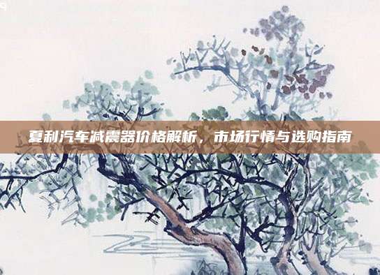 夏利汽车减震器价格解析，市场行情与选购指南