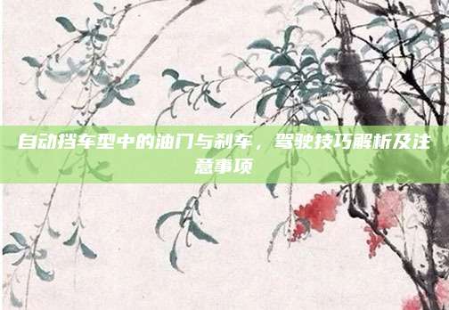 自动挡车型中的油门与刹车，驾驶技巧解析及注意事项