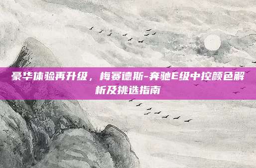 豪华体验再升级，梅赛德斯-奔驰E级中控颜色解析及挑选指南