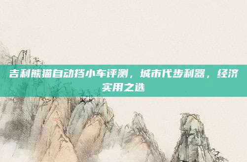 吉利熊猫自动挡小车评测，城市代步利器，经济实用之选